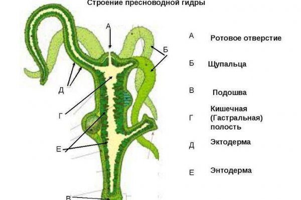 Сколько стоит 1 грамм мефедрона